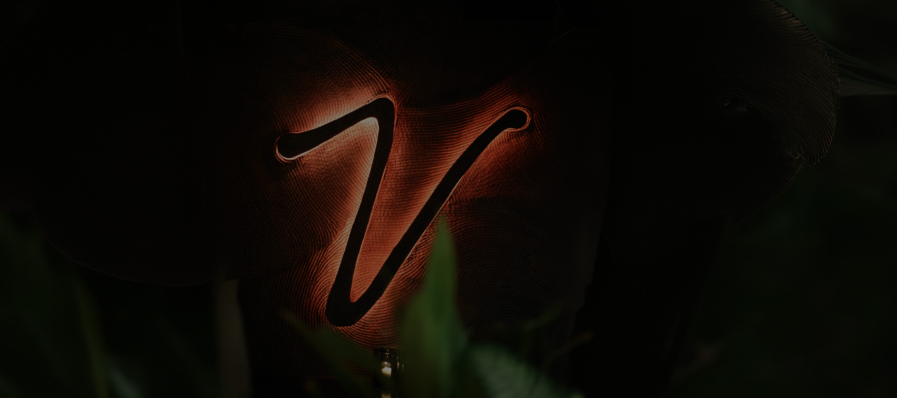 A global dining destination